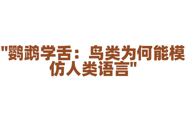 "鹦鹉学舌：鸟类为何能模仿人类语言"